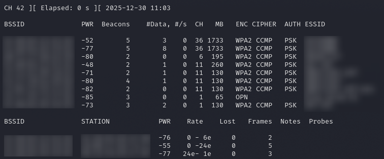Output of airodump-ng command